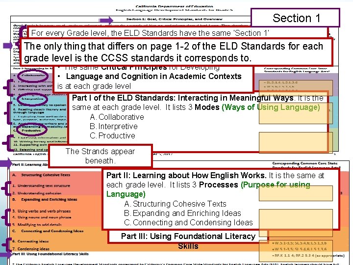 { Section 1 For every Grade level, the ELD Standards have the same ‘Section { Section 1 For every Grade level, the ELD Standards have the same ‘Section