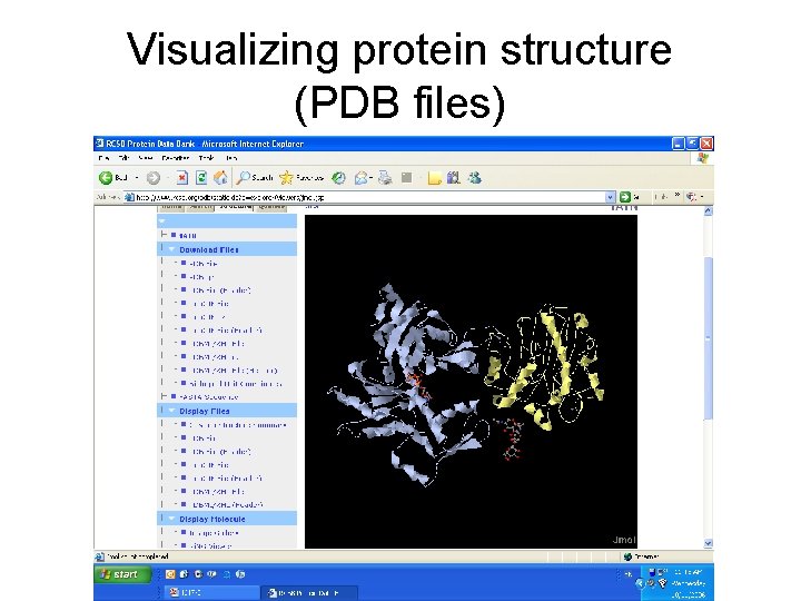 Visualizing protein structure (PDB files) 