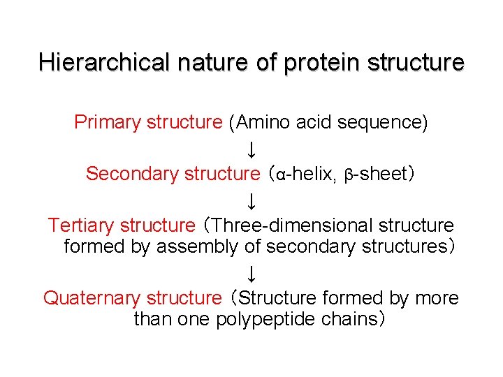 Hierarchical nature of protein structure Primary structure (Amino acid sequence) ↓ Secondary structure （α-helix,