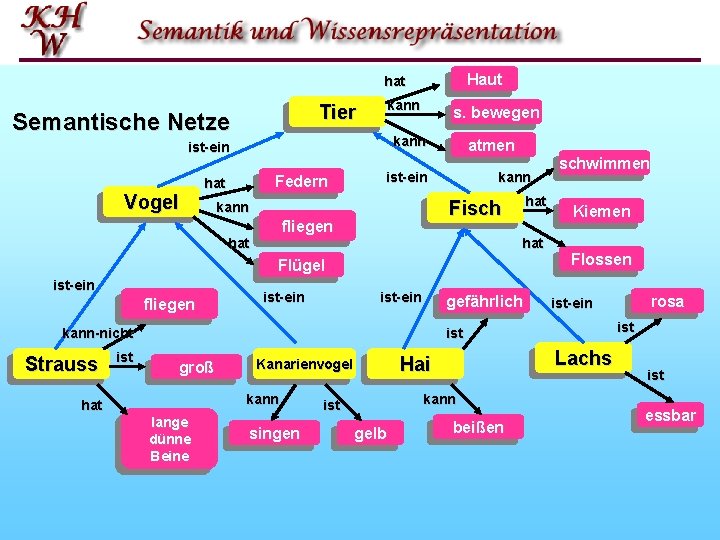 Haut hat Tier Semantische Netze kann s. bewegen ist ein kann hat ist ein