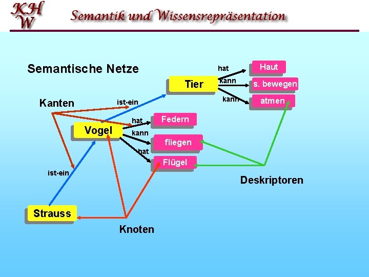 Semantische Netze hat Tier Kanten kann ist ein Vogel hat kann Haut s. bewegen