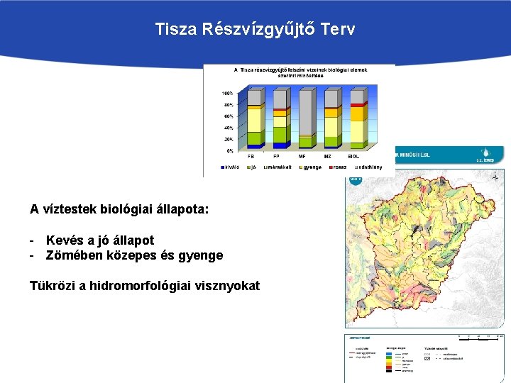 Tisza Részvízgyűjtő Terv A víztestek biológiai állapota: - Kevés a jó állapot - Zömében