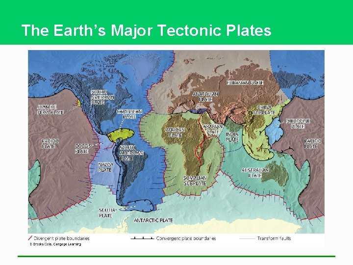 The Earth’s Major Tectonic Plates 