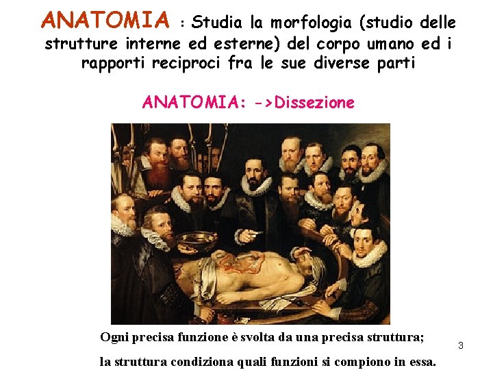 ANATOMIA Studia la morfologia (studio delle strutture interne ed esterne) del corpo umano ed