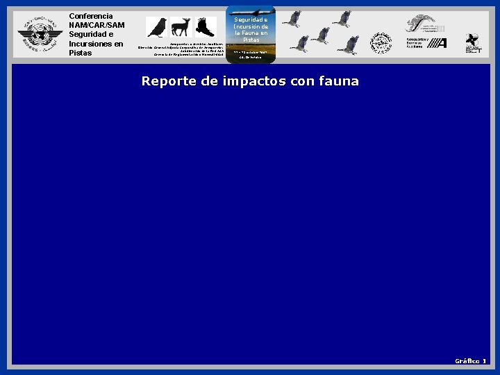 Conferencia NAM/CAR/SAM Seguridad e Incursiones en Pistas Aeropuertos y Servicios Auxiliares Dirección General Adjunta