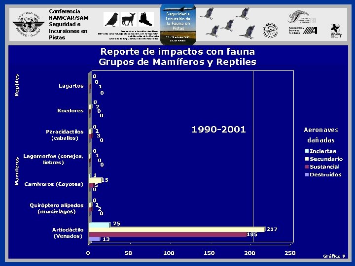 Conferencia NAM/CAR/SAM Seguridad e Incursiones en Pistas Aeropuertos y Servicios Auxiliares Dirección General Adjunta