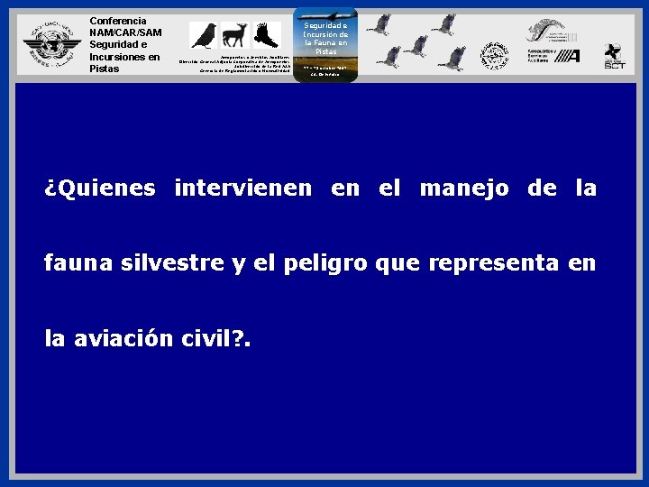 Conferencia NAM/CAR/SAM Seguridad e Incursiones en Pistas Aeropuertos y Servicios Auxiliares Dirección General Adjunta