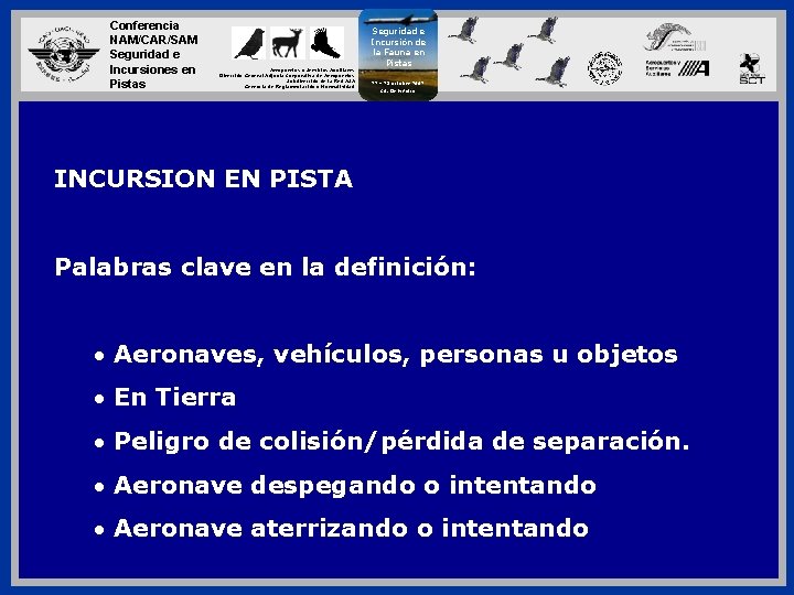 Conferencia NAM/CAR/SAM Seguridad e Incursiones en Pistas Aeropuertos y Servicios Auxiliares Dirección General Adjunta