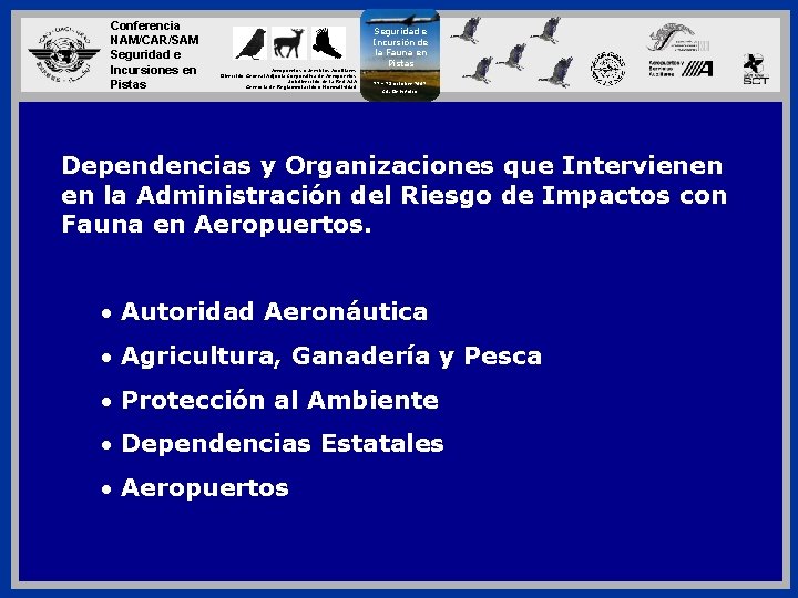 Conferencia NAM/CAR/SAM Seguridad e Incursiones en Pistas Aeropuertos y Servicios Auxiliares Dirección General Adjunta