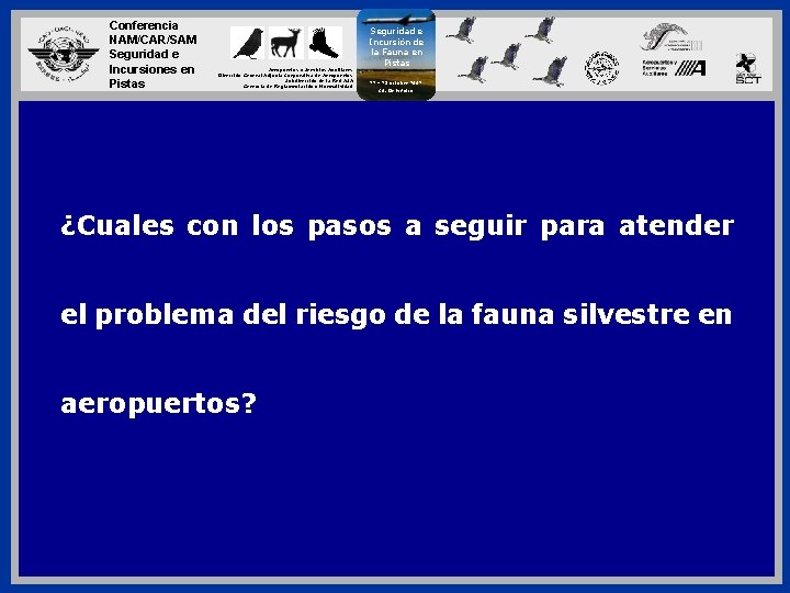 Conferencia NAM/CAR/SAM Seguridad e Incursiones en Pistas Aeropuertos y Servicios Auxiliares Dirección General Adjunta