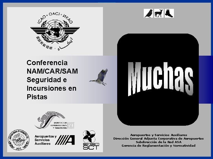 Conferencia NAM/CAR/SAM Seguridad e Incursiones en Pistas Aeropuertos y Servicios Auxiliares Dirección General Adjunta
