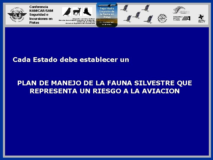 Conferencia NAM/CAR/SAM Seguridad e Incursiones en Pistas Aeropuertos y Servicios Auxiliares Dirección General Adjunta