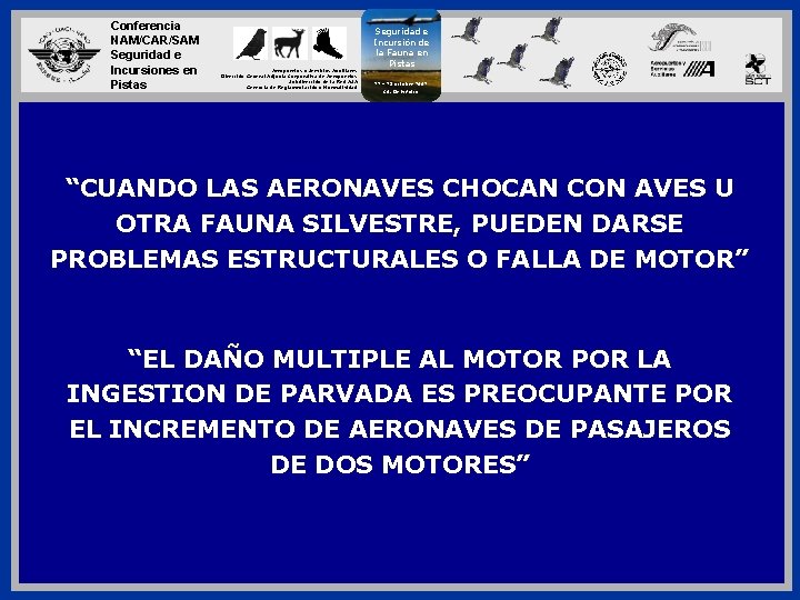 Conferencia NAM/CAR/SAM Seguridad e Incursiones en Pistas Aeropuertos y Servicios Auxiliares Dirección General Adjunta