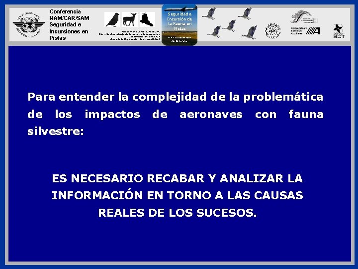 Conferencia NAM/CAR/SAM Seguridad e Incursiones en Pistas Aeropuertos y Servicios Auxiliares Dirección General Adjunta