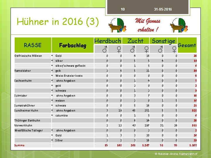 10 31 -05 -2016 Hühner in 2016 (3) RASSE Ostfriesische Möwen Ramelsloher Sachsenhuhn Sulmtaler