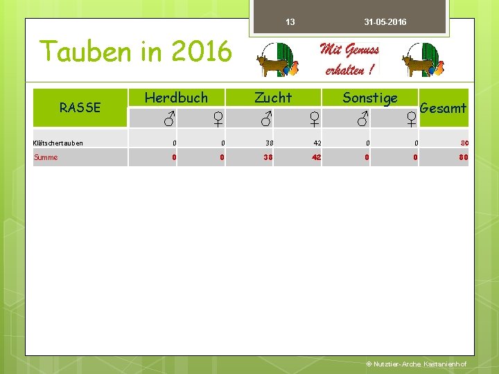 13 31 -05 -2016 Tauben in 2016 RASSE Herdbuch Zucht Sonstige Gesamt ♂ ♀