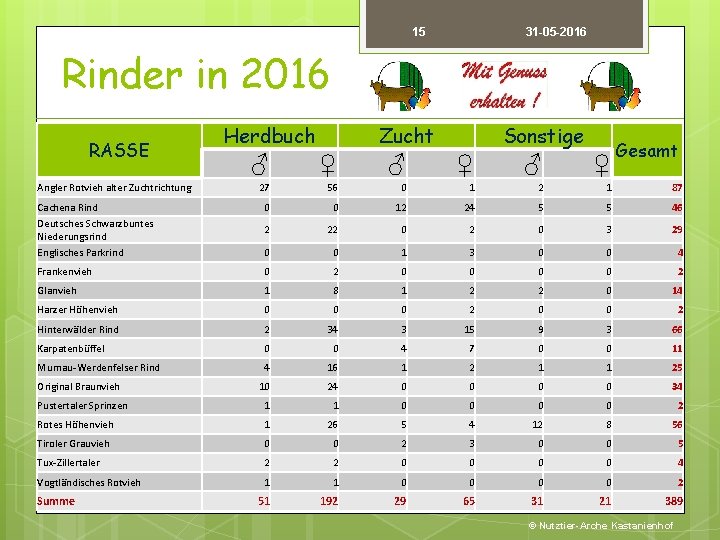 15 31 -05 -2016 Rinder in 2016 RASSE Herdbuch Zucht Sonstige Gesamt ♂ ♀