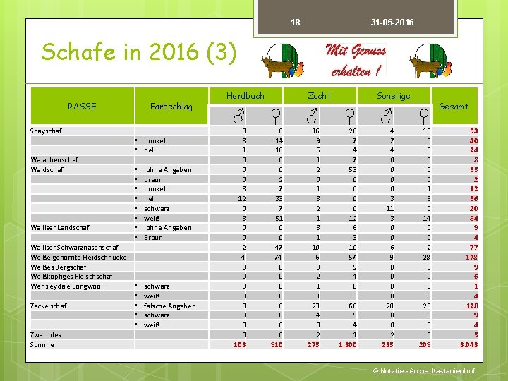 18 31 -05 -2016 Schafe in 2016 (3) RASSE Soayschaf Walachenschaf Waldschaf Walliser Landschaf