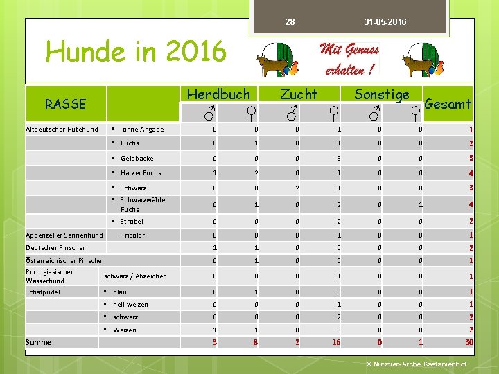 28 31 -05 -2016 Hunde in 2016 Herdbuch RASSE Gesamt ♀ ♂ ♀ •