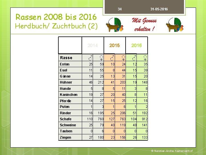 34 Rassen 2008 bis 2016 31 -05 -2016 Herdbuch/ Zuchtbuch (2) 2014 2015 2016