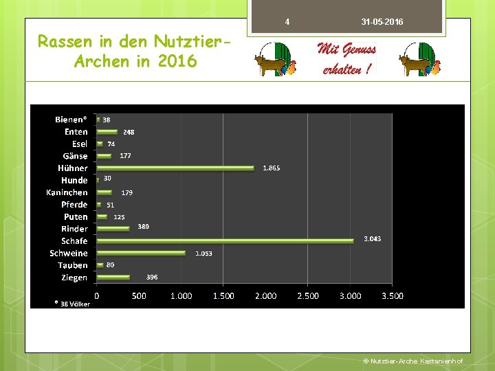 4 31 -05 -2016 Rassen in den Nutztier. Archen in 2016 © Nutztier-Arche Kastanienhof