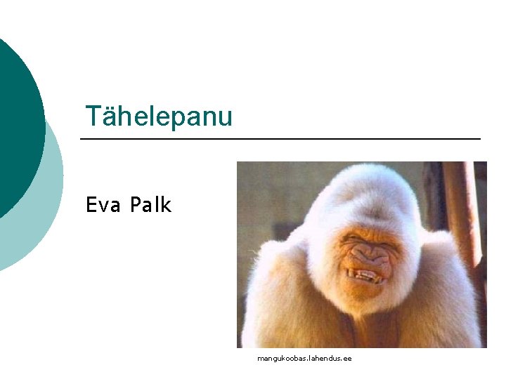 Tähelepanu Eva Palk mangukoobas. lahendus. ee 