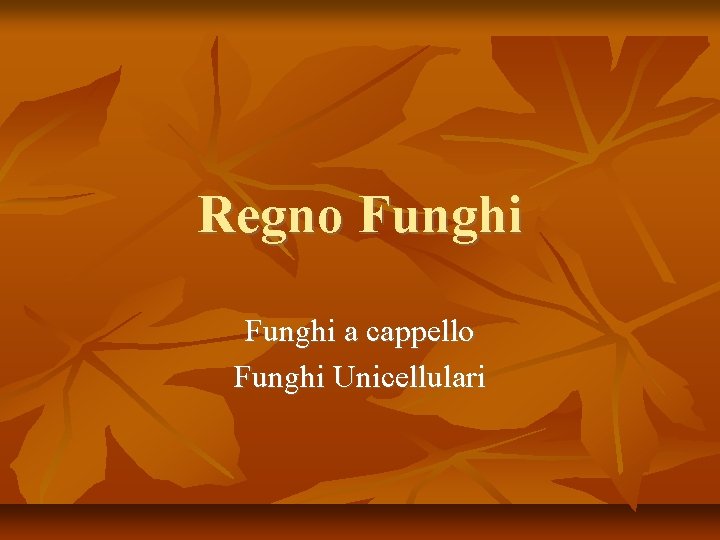 Regno Funghi a cappello Funghi Unicellulari 