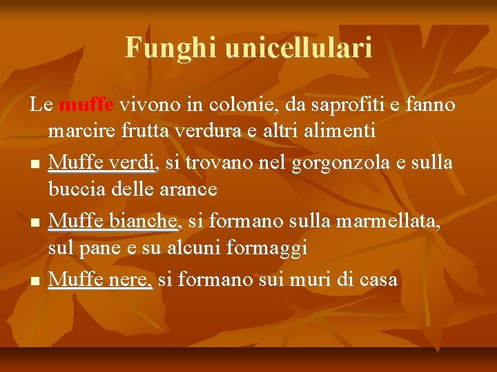 Funghi unicellulari Le muffe vivono in colonie, da saprofiti e fanno marcire frutta verdura