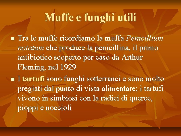 Muffe e funghi utili Tra le muffe ricordiamo la muffa Penicillium notatum che produce