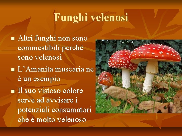 Funghi velenosi Altri funghi non sono commestibili perché sono velenosi L’Amanita muscaria ne è