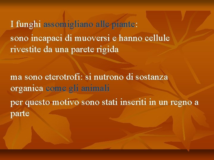 I funghi assomigliano alle piante: sono incapaci di muoversi e hanno cellule rivestite da