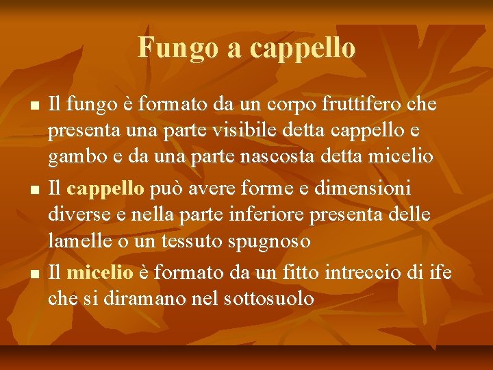 Fungo a cappello Il fungo è formato da un corpo fruttifero che presenta una