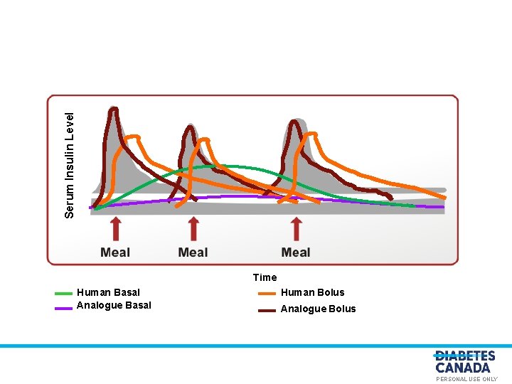 Serum Insulin Level O E Y L N S U L A N O