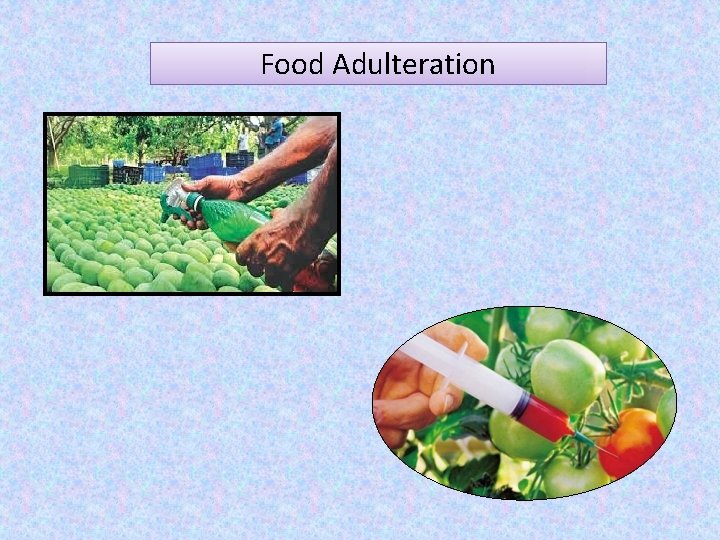 Food Adulteration 