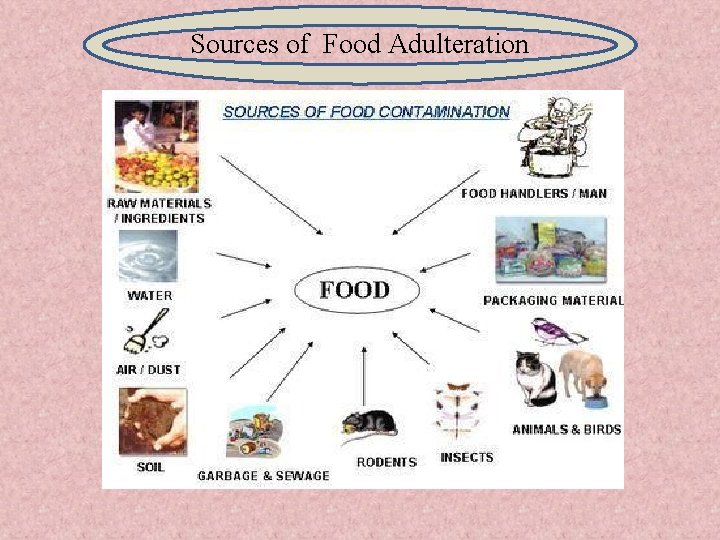 Sources of Food Adulteration 