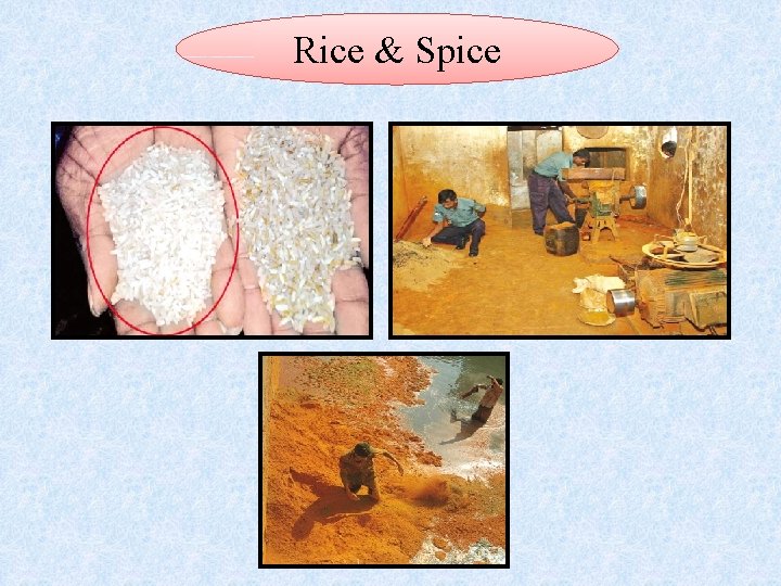 Rice & Spice 