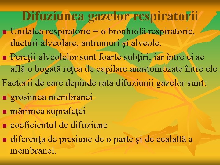 Difuziunea gazelor respiratorii Unitatea respiratorie = o bronhiolă respiratorie, ducturi alveolare, antrumuri şi alveole.