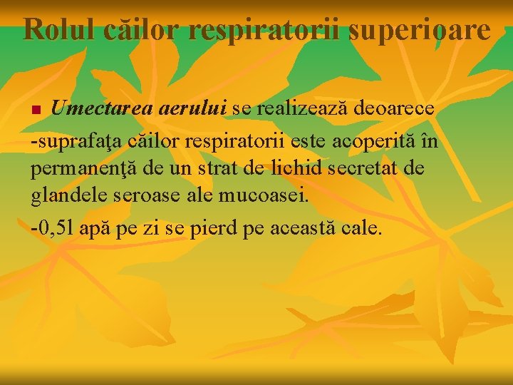 Rolul căilor respiratorii superioare Umectarea aerului se realizează deoarece -suprafaţa căilor respiratorii este acoperită