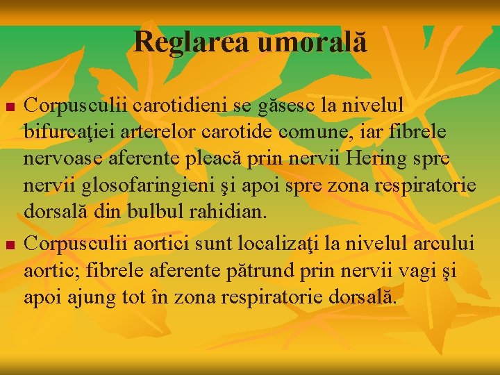 Reglarea umorală n n Corpusculii carotidieni se găsesc la nivelul bifurcaţiei arterelor carotide comune,