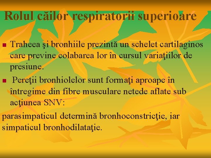 Rolul căilor respiratorii superioare Traheea şi bronhiile prezintă un schelet cartilaginos care previne colabarea