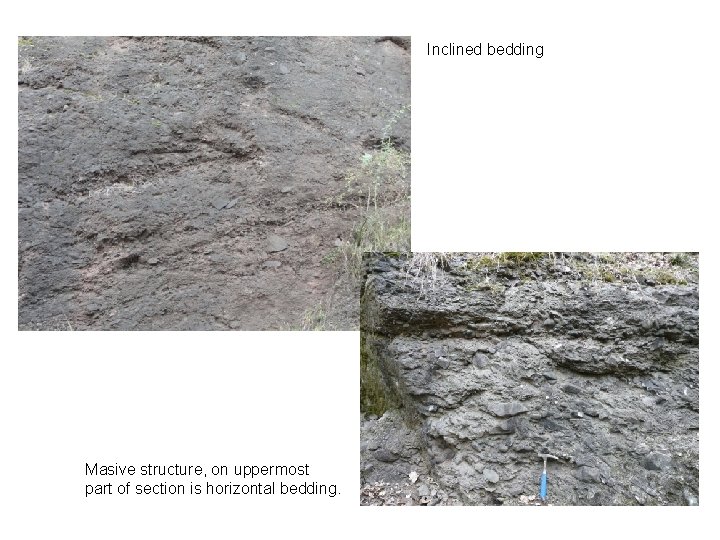 Inclined bedding Masive structure, on uppermost part of section is horizontal bedding. 