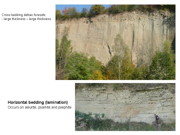 Cross bedding deltaic foresets - large thickness – large thickness. Horizontal bedding (lamination) Occurs