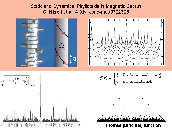 Static and Dynamical Phyllotaxis in Magnetic Cactus C. Nisoli et al: Ar. Xiv: cond-mat/0702335