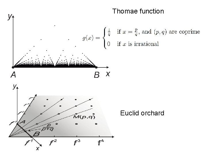 Thomae function Euclid orchard 