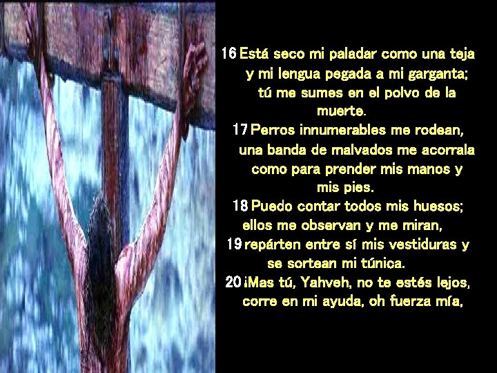 16 Está seco mi paladar como una teja y mi lengua pegada a mi 16 Está seco mi paladar como una teja y mi lengua pegada a mi