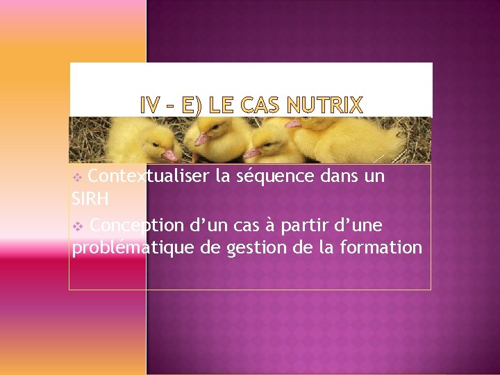 IV – E) LE CAS NUTRIX Contextualiser la séquence dans un SIRH v Conception