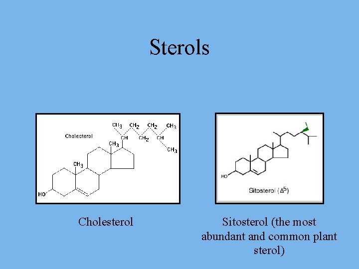 Sterols Cholesterol Sitosterol (the most abundant and common plant sterol) 