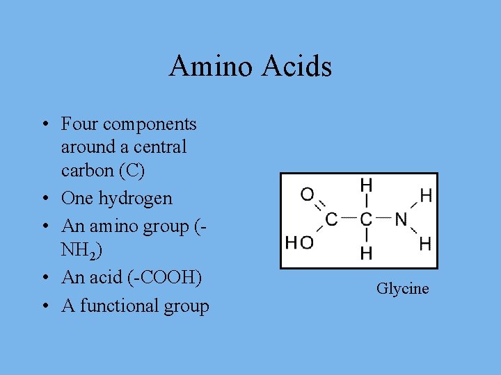Amino Acids • Four components around a central carbon (C) • One hydrogen •