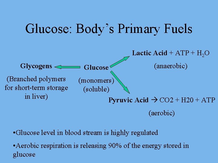 Glucose: Body’s Primary Fuels Lactic Acid + ATP + H 2 O Glycogens (Branched