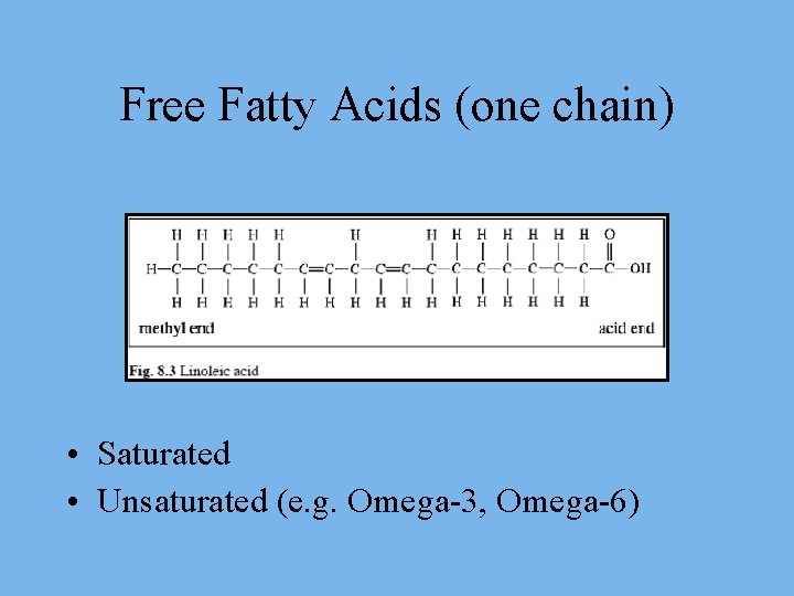 Free Fatty Acids (one chain) • Saturated • Unsaturated (e. g. Omega-3, Omega-6) 